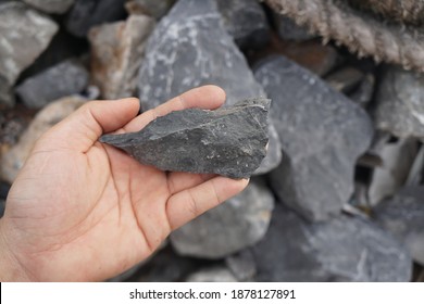 A Hand Holding A Black Shale Sedimentary Rock.