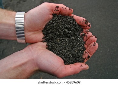 A Hand Holding Black Volcanic Soil.