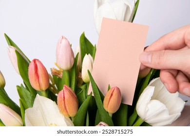 Hand holding blank flower shop business card among tulip flowers. Pink and white tulip flower with business card. Blank florist shop business card. Floral arrangement with pink and white tulip flower - Powered by Shutterstock