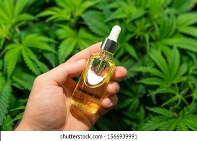 Where can I buy cannabis oil? - Quora