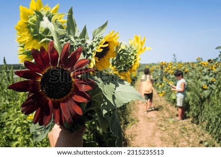 Hand holding bouquet of sunflowers with two boys in background.