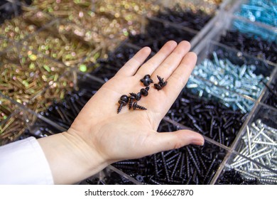 Hand Holding A Bunch Of Black Stainless Steel Screws On A On The Background Of The Hardware Store Counter