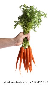 Hand Holding A Bunch Of Carrots On White 