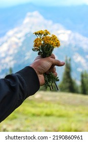 Hand Holding Bunch Of Flowers,
Focus For Flowers.