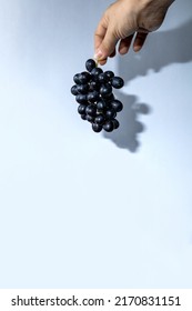 Hand Holding Bunch Of Grapes.  White Background.