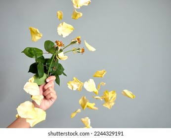 hand holding a bunch of roses with no petals, yellow petals falling