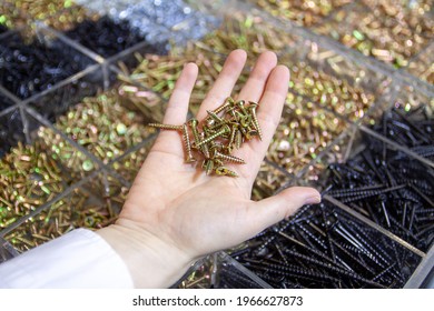 Hand Holding A Bunch Of Stainless Steel Screws On A On The Background Of The Hardware Store Counter