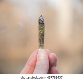 Hand Holding A Burning Marijuana (cannabis) Joint