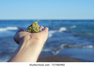 Hand holding a cannabis nug against ocean waves and blue sky landscape - medical marijuana concept