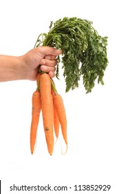 Hand Holding Carrots