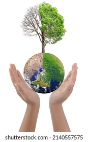 Hand holding change tree forest drought and forest refreshing on globe isolated on white background. Ecology concept Half alive and half dead tree standing at the crossroads. world image by NASA