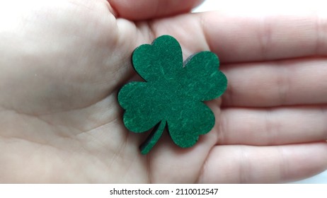 Hand Holding Clover, Patricks Day 