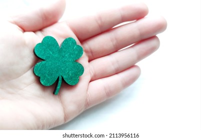 Hand Holding Clover, Patricks Day