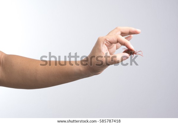 Hand Hold Tool Medicine Dropper Isolated Stock Photo 