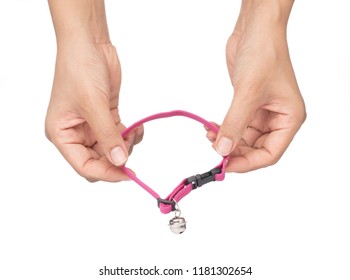 hand holding Collar for cat or dog isolated on white background