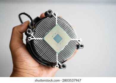 Hand holding computer processor on CPU air cooler for PC assembly, semiconductor technology and hardware upgrade. Concept of computer building, processor installation and high performance computing.