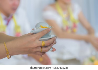 Hand Holding A Conch Shell For A Sangha Water In The Wedding Ceremony