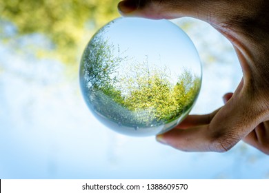 Hand Holding Crystal Ball Optical Illusion Stock Photo (Edit Now ...