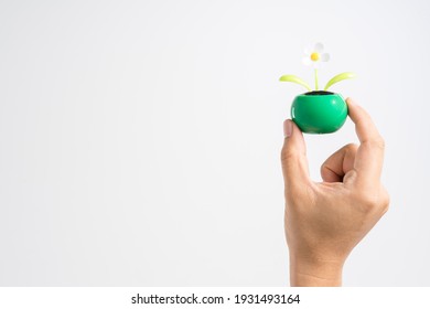 Hand Holding Dancing Or Swing Moving Flower Powered By Solar Power Panel On White Background