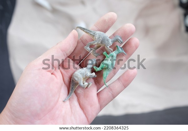 Hand Holding Dinosaur Kids Model Soft Stock Photo 2208364325 