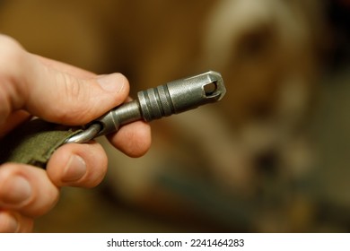 hand holding dog leash with carabiner. High quality photo - Powered by Shutterstock