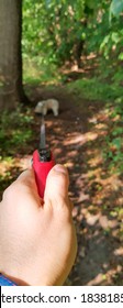 Hand Holding A Dog. Poland.Gdynia.