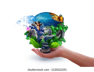 Hand Holding The Earth Engulfed In Leaves, Cute Wild Animals, Lush Greenery – Leaves And Water. Protect The Environment And Earth Day Concept. On A White Background