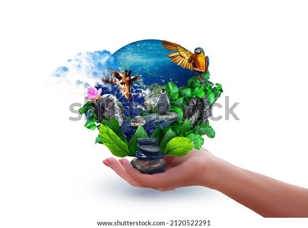 Hand holding the Earth\
engulfed in leaves, cute wild animals, lush greenery – leaves and\
water. Protect the environment and Earth Day concept. On a white\
background