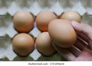 Hand Holding Egg On Egg Carton Background, Cooking Concept