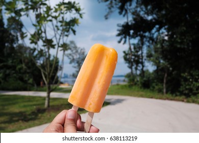 A hand holding a famous orange double ice-cream pop in sunny day. Summer time (a park in background)