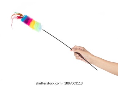 Hand Holding Feather For Cat Toy Isolated On A White Background