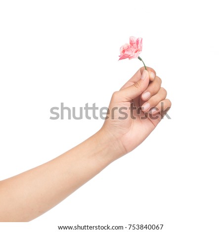 Hand holding flower isolated on white background