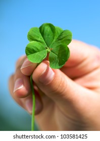 Hand Holding A Four Leaf Clover