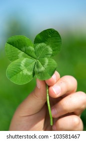 Hand Holding A Four Leaf Clover