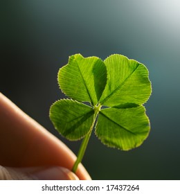 Hand Holding A Four Leaf Clover On The Ground