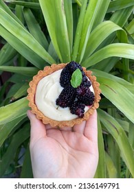 Hand Holding Fresh Blueberries Pastry   On The Leaf 