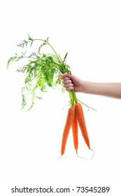 A Hand Holding A Fresh And Ripe Carrots Isolated On White Background