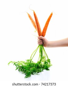 A Hand Holding A Fresh And Ripe Carrots Isolated On White Background