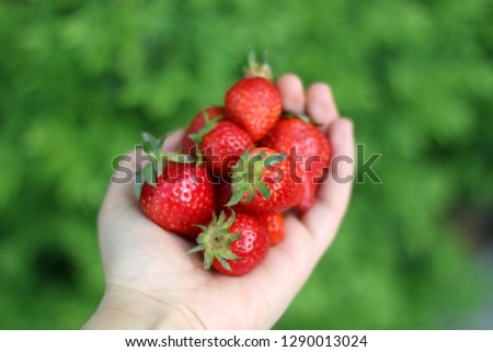 Similar – Image, Stock Photo strawberry season Food