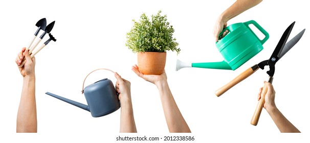 Hand Holding Gardening Tool Set For Your Design.Woman Hands With Multiple Equipment With Isolated.