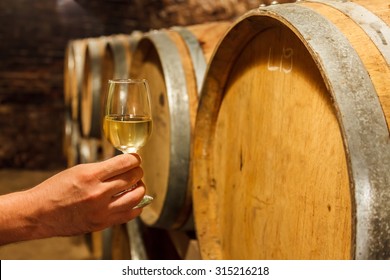 Hand Holding A Glass Of Cold White Wine In Front Of Oak Barrels