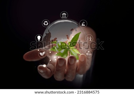 Similar – green senecio leaf in person’s hand macro closeup in nature