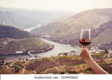 hand holding a glass of red wine on background Landscape of Douro Valley, Portugal. Port Wine  production place