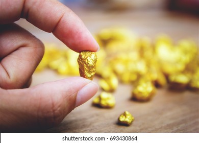 Hand holding gold nugget grains.