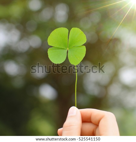 Similar – young hand in turquoise jacket holds four-leaf green clover