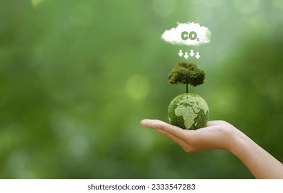 Hand holding green earth with map and have CO2 white cloud on top. Reduce CO2 emissions to limit climate change and global warming. Clean and friendly environment. World sustainable environment. 