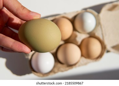 Hand Holding A Green Egg, Free Range Chicken Eggs In A Carton Box