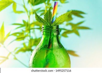 Hand holding Green glass bottle with Cannabis CBD infused Water lemonade against Cannabis plant