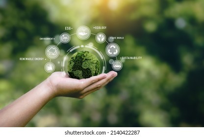 Hand holding a green globe in the concept of nature about management esg, sustainability, ecology and renewable energy for save the world environmental and conservation 