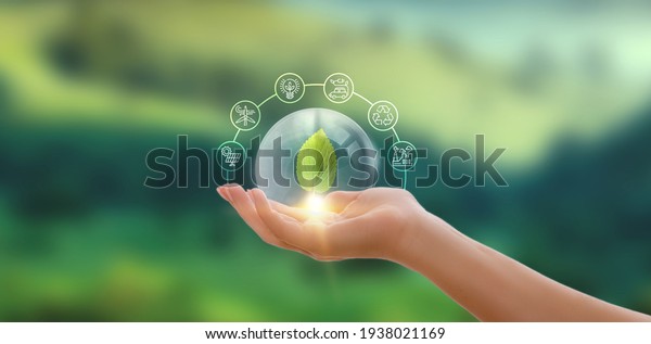 Hand holding\
green leaf with icons energy sources for renewable, sustainable\
development. Ecology\
concept.